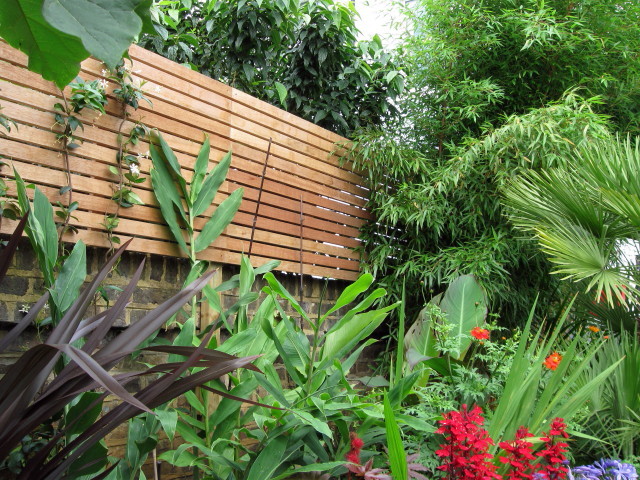 Hardwood Maranti Trellis