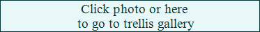 Click for Trellis gallery