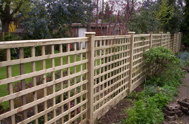 Square Mesh Trellis