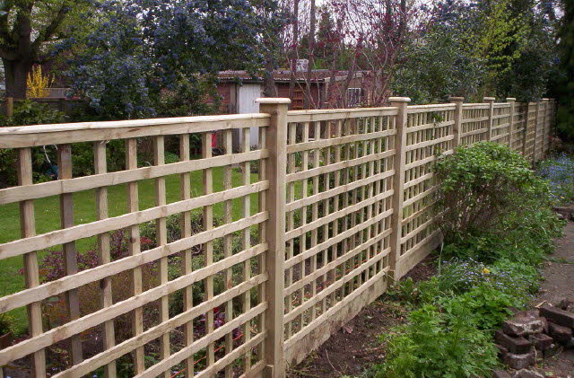 Standard Square Mesh Trellis Kept in stock