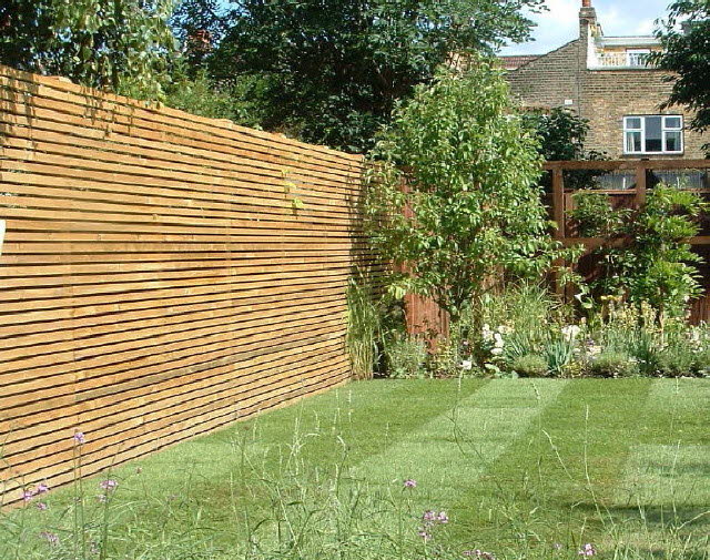 Hardwood latteral Trellis
