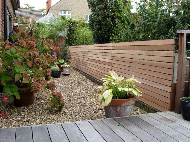 Hardwood latteral Trellis 