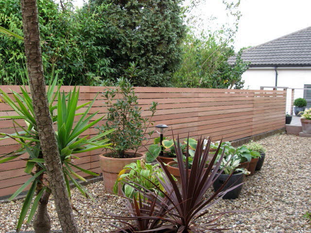 Hardwood latteral Trellis 