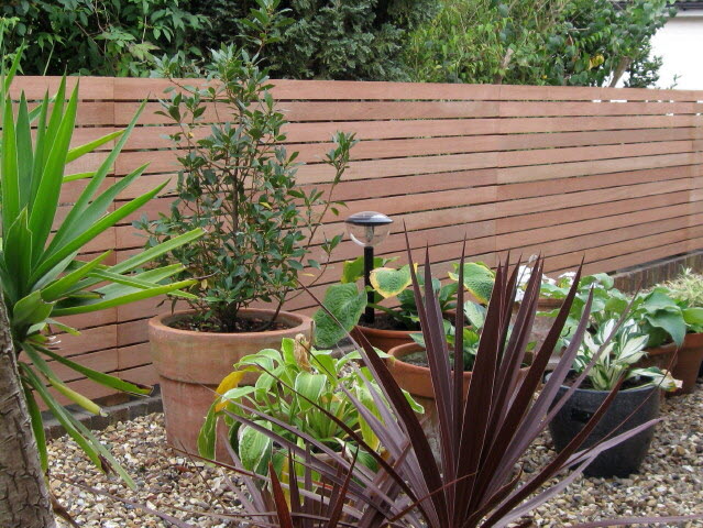 Hardwood lateral trellis, 