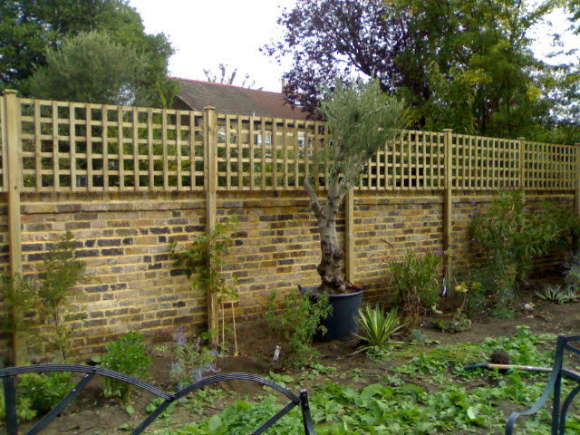 Standard Square Mesh Trellis 