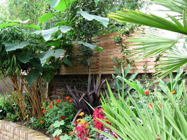 Hardwood latteral Trellis 