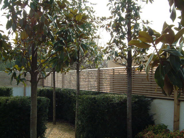 Louvre trellis panels