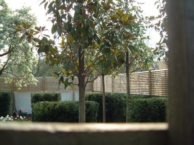 Louvre trellis panels